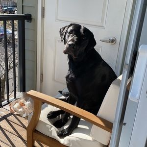 Meet your Posher, Jane